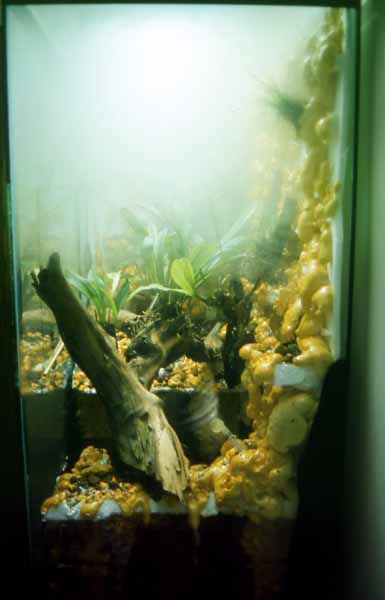 Terracquario