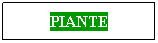 Casella di testo: PIANTE
